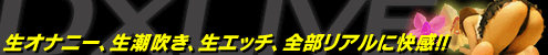 DX���C�u�[�A�_���g���C�u�`���b�g